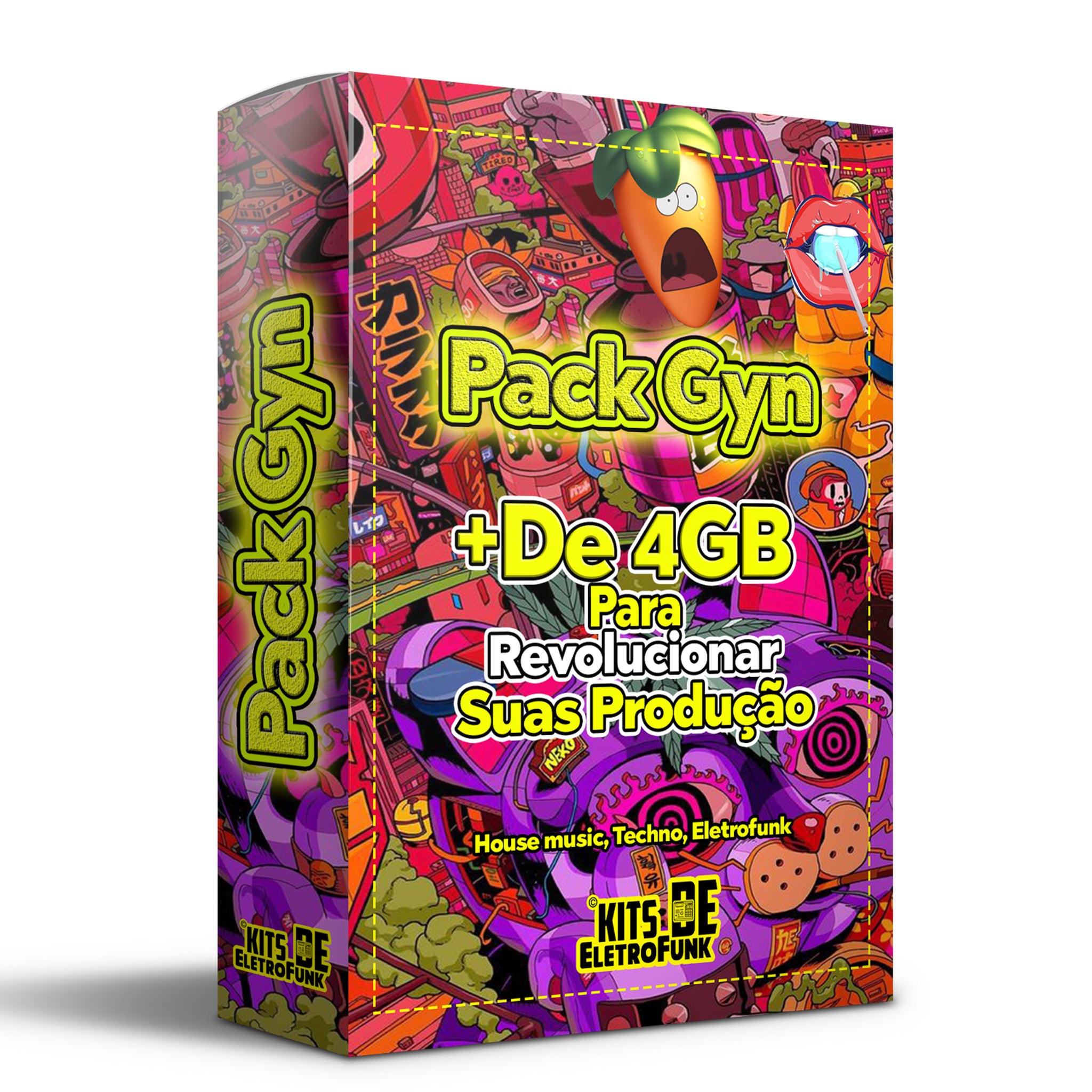 PACK GYN + DE 4Gb - House,Techouse, EletroFunk.